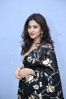 Sonu Thakur Black Saree Photos
